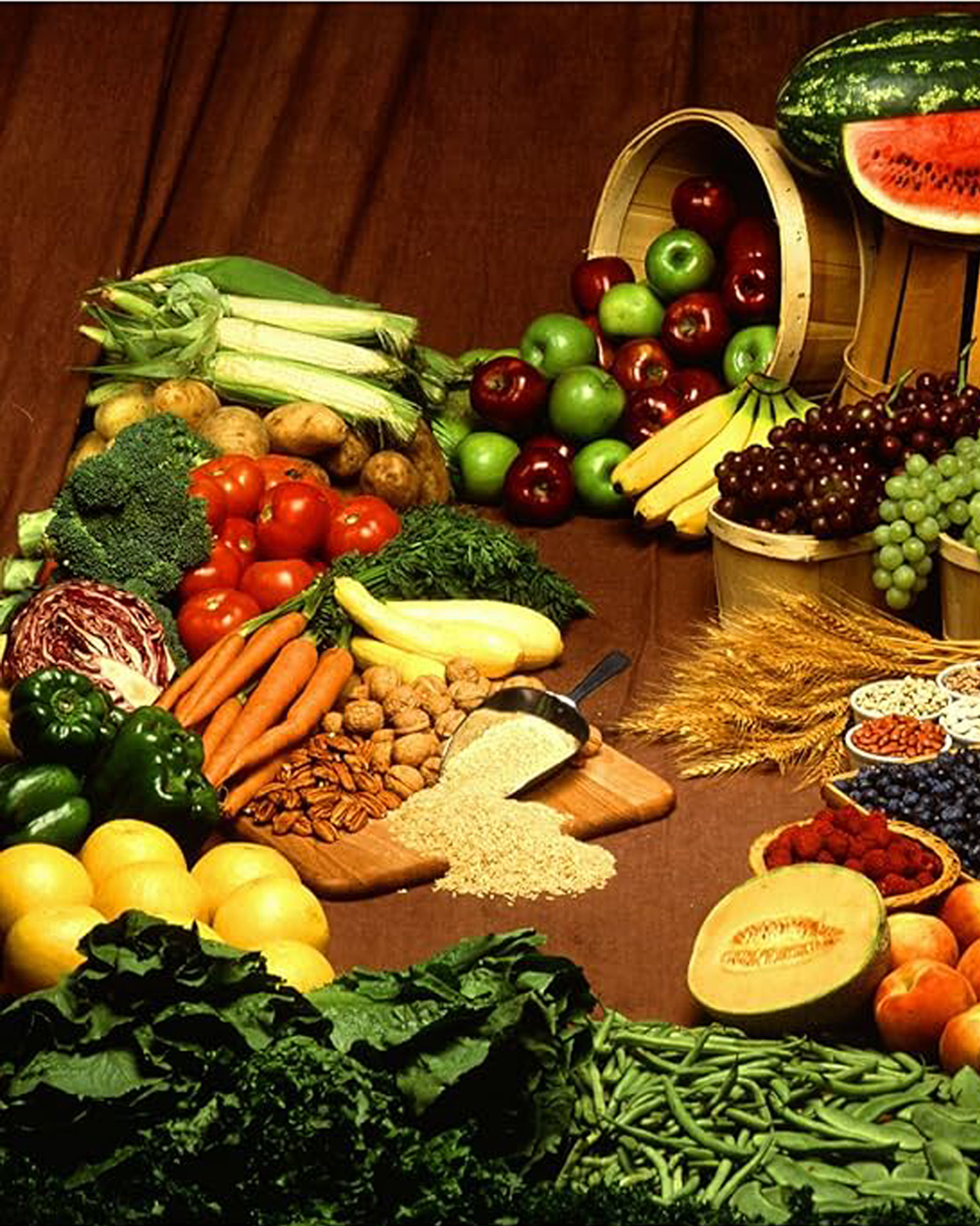 Peaceful Retreat Accommodation